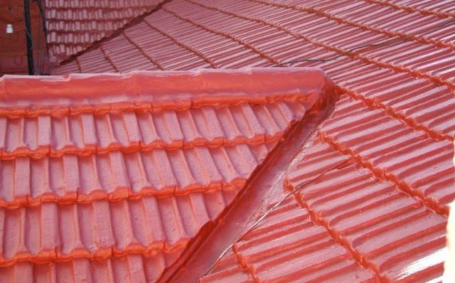 REPARACIÓN DE TEJADOS, LIMPIEZA DE CANALONES