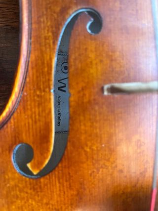 Viola