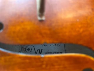 Viola