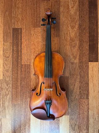 Viola