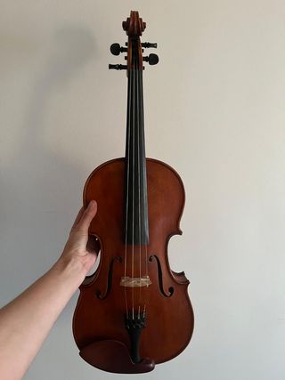 Viola