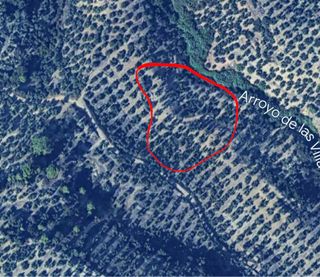 Venta Finca Olivar en Villanueva del Arzobispo