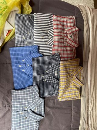 Camicia uomo lacoste taglia 39 e 40