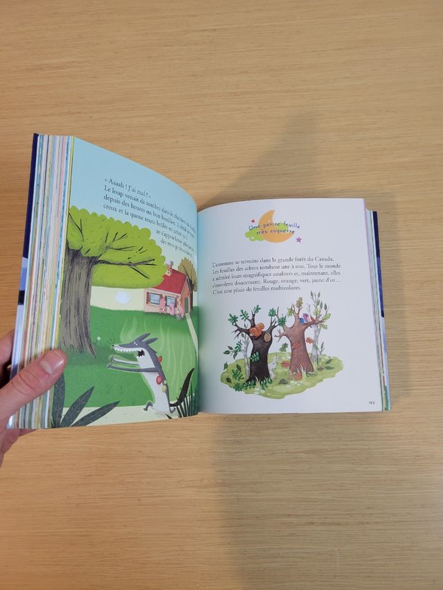 Libro infantil en francés