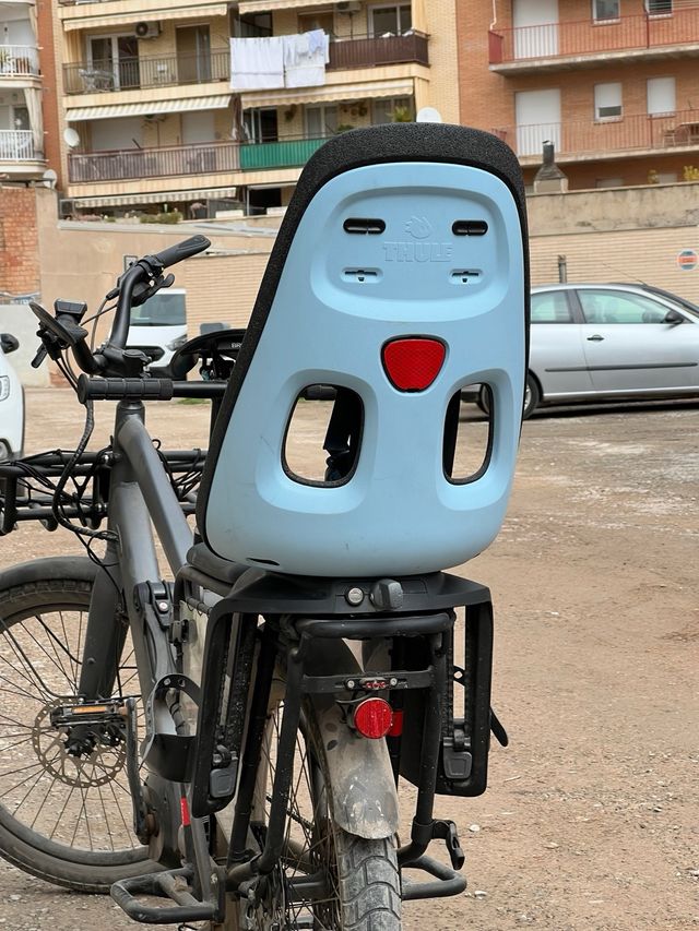 Cadireta Thule Yepp maxi