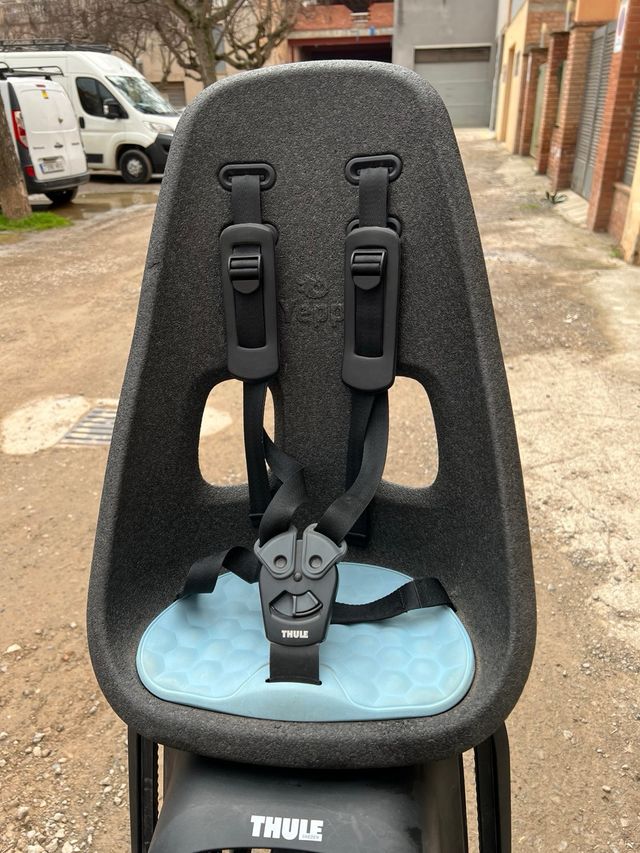 Cadireta Thule Yepp maxi