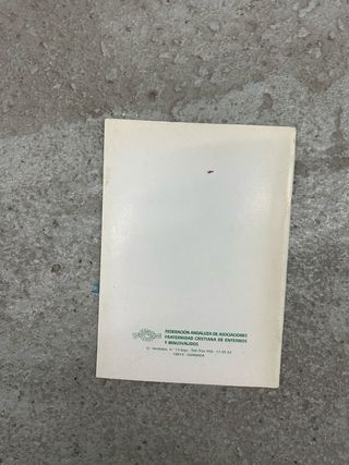 Libro guia informatica sobre discapacidades