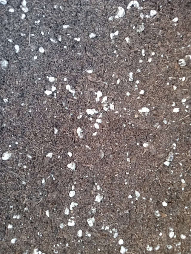 Sustrato reutilizado y aditivado para plantas 20L.