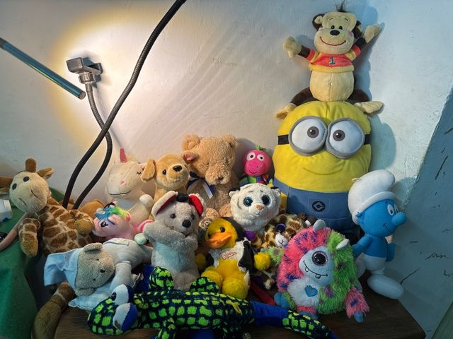 Super set di animali di peluche