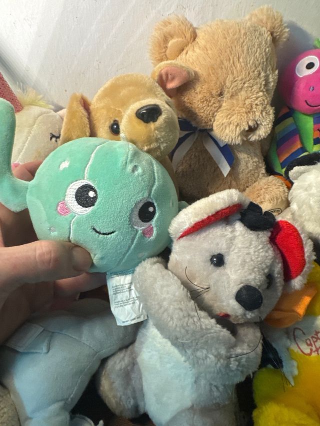 Super set di animali di peluche