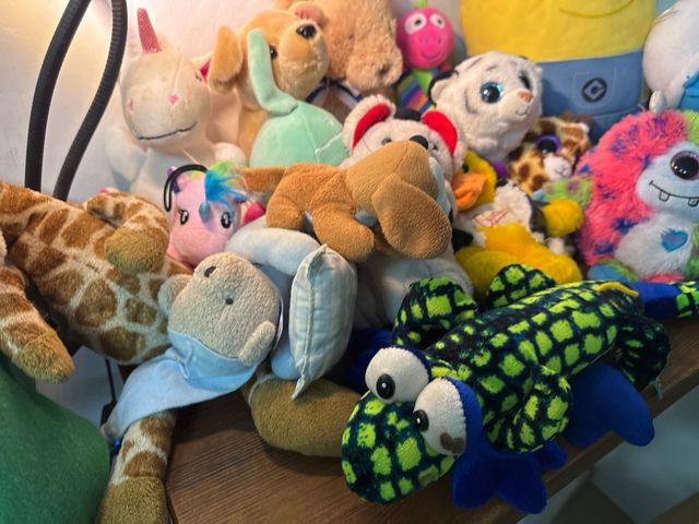 Super set di animali di peluche