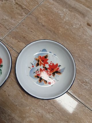 Platos chinos Bon Voyage