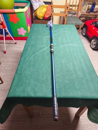 Caña daiwa saltist telesurf