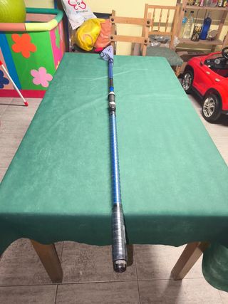 Caña daiwa saltist telesurf