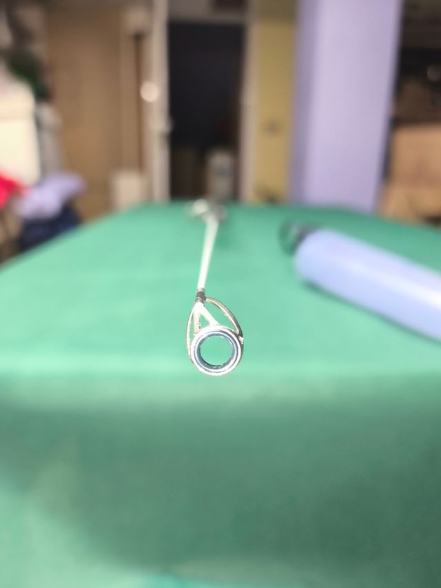 Caña daiwa saltist telesurf