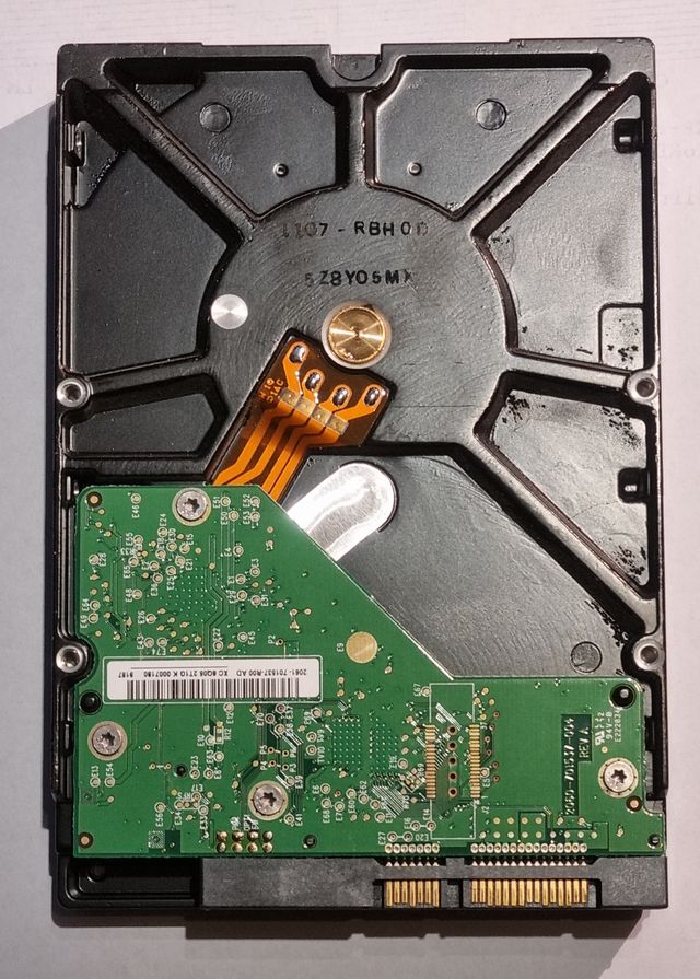 Disco Duro WD-Western Digital 1TB Interno 3,5"