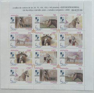 Minipliego 69 Caballos 2000