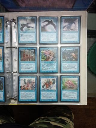 MTG: ALIANZAS COMPLETO 