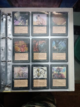 MTG: ALIANZAS COMPLETO 