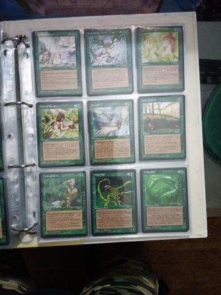 MTG: ALIANZAS COMPLETO 