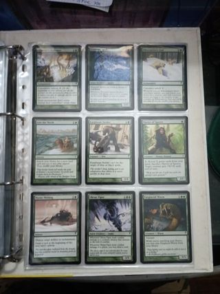 MTG: COLD SNAP COMPLETO 