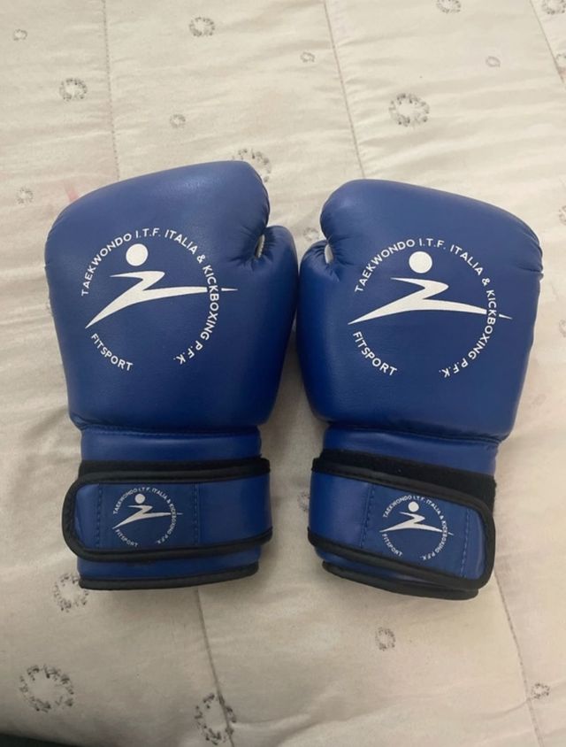 1 Set di Guanti Professionali Taekwondo