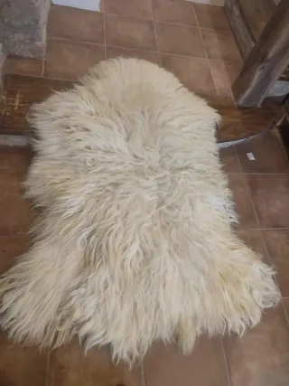 Pieles de oveja latxa