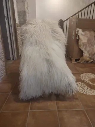 Pieles de oveja latxa