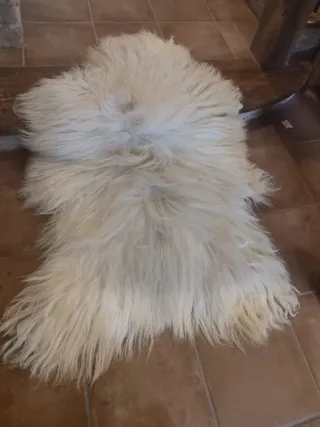 Pieles de oveja latxa