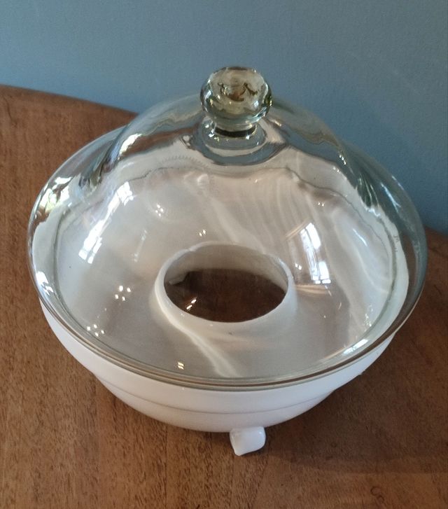 Rara trappola per mosche vespe moscaiola opaline