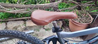 Bicicleta de descenso Giant Glory 8.0