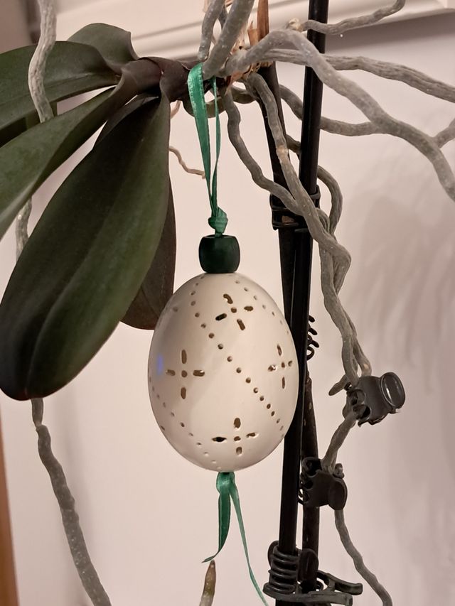 Huevo pato perforado