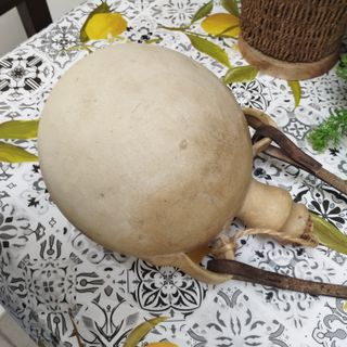 ANTICA BORRACCIA TERRACOTTA VASO GIARA DELL’ 800