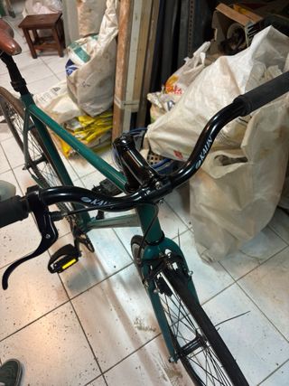 Bicicleta fixie