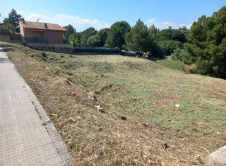 Jardinero económico y césped artificial 