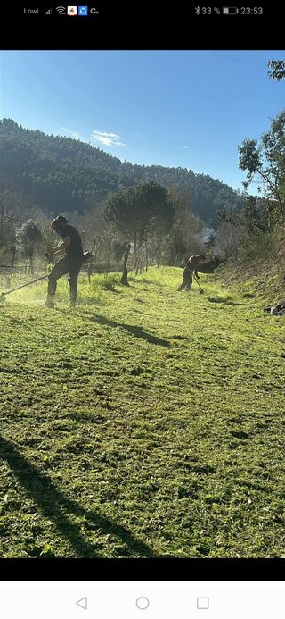 Jardinero económico y césped artificial 
