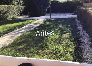 Césped artificial y servicios de jardinería 