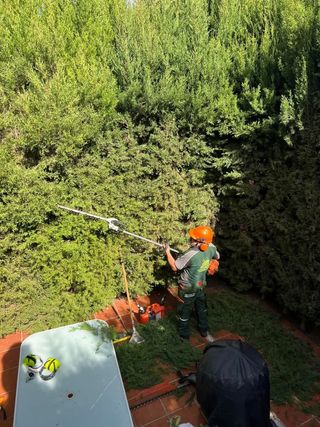 Servicios de jardinería 