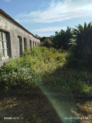 Jardinero económico 