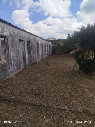 Jardinero económico 