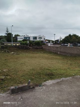 Mantenimiento de jardines 