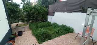 Mantenimiento de jardines 