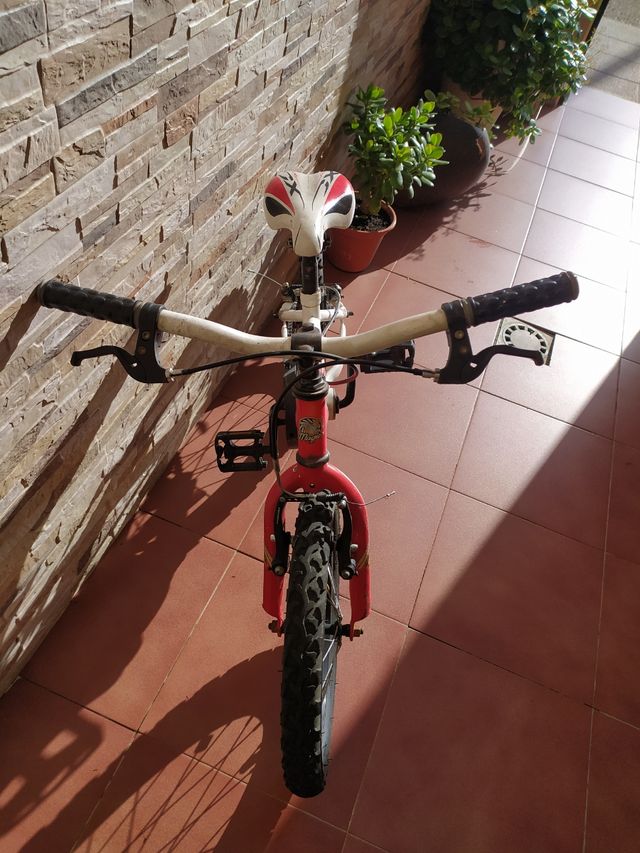Bicicleta niño