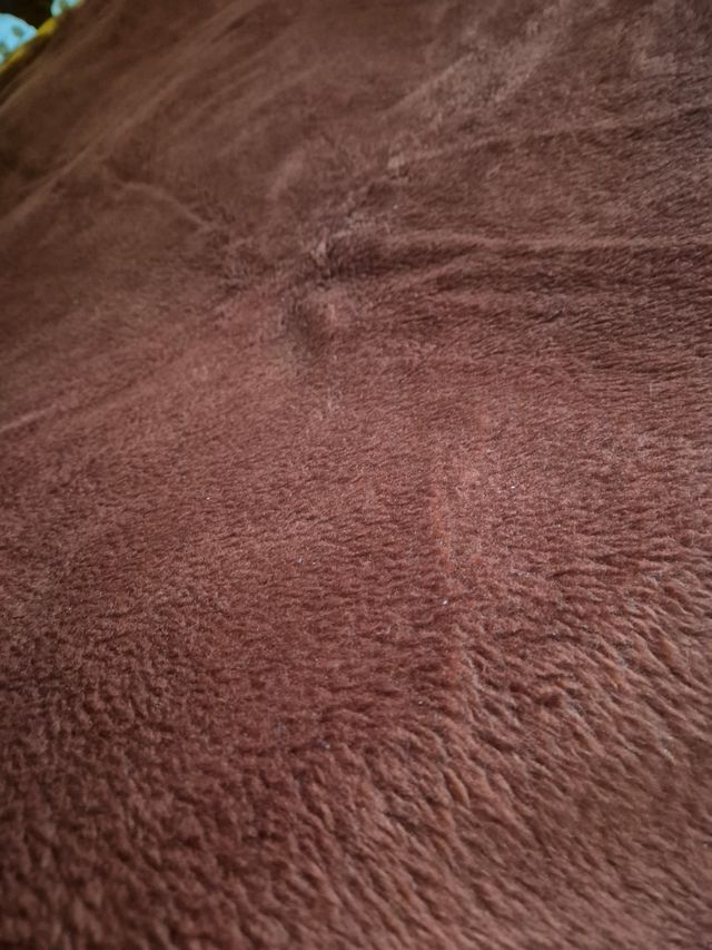 Manta Mora cama individual