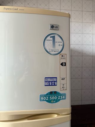 FRIGORIFICO LG