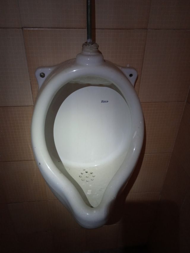 Antiguos urinarios roca