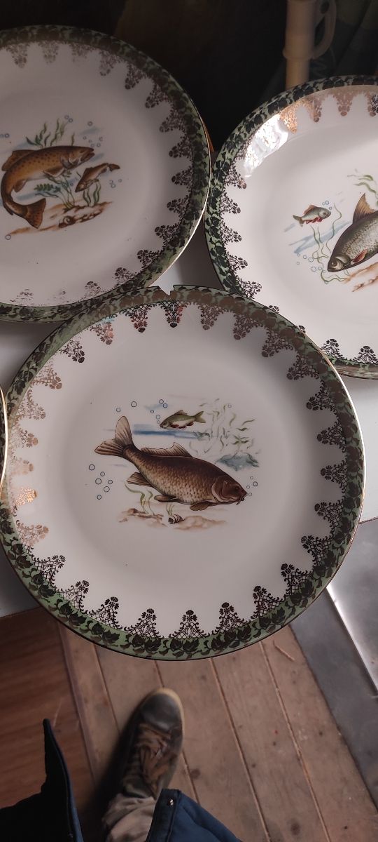 Servizio portata pesce