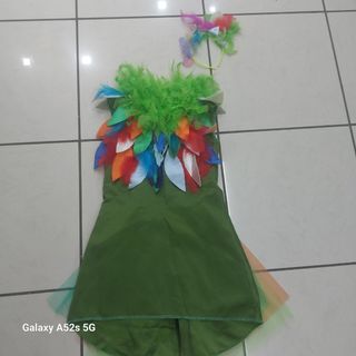 vestito principessa pavone