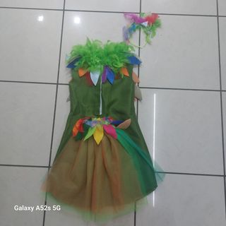 vestito principessa pavone