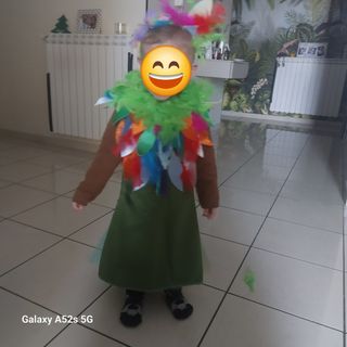 vestito principessa pavone